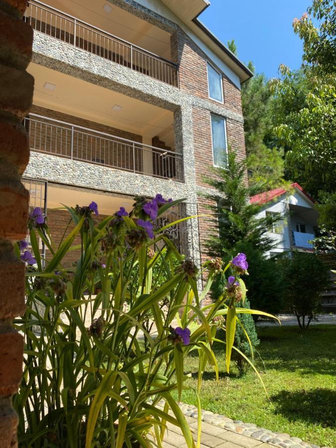 Guest House Shekvetili Esterno foto