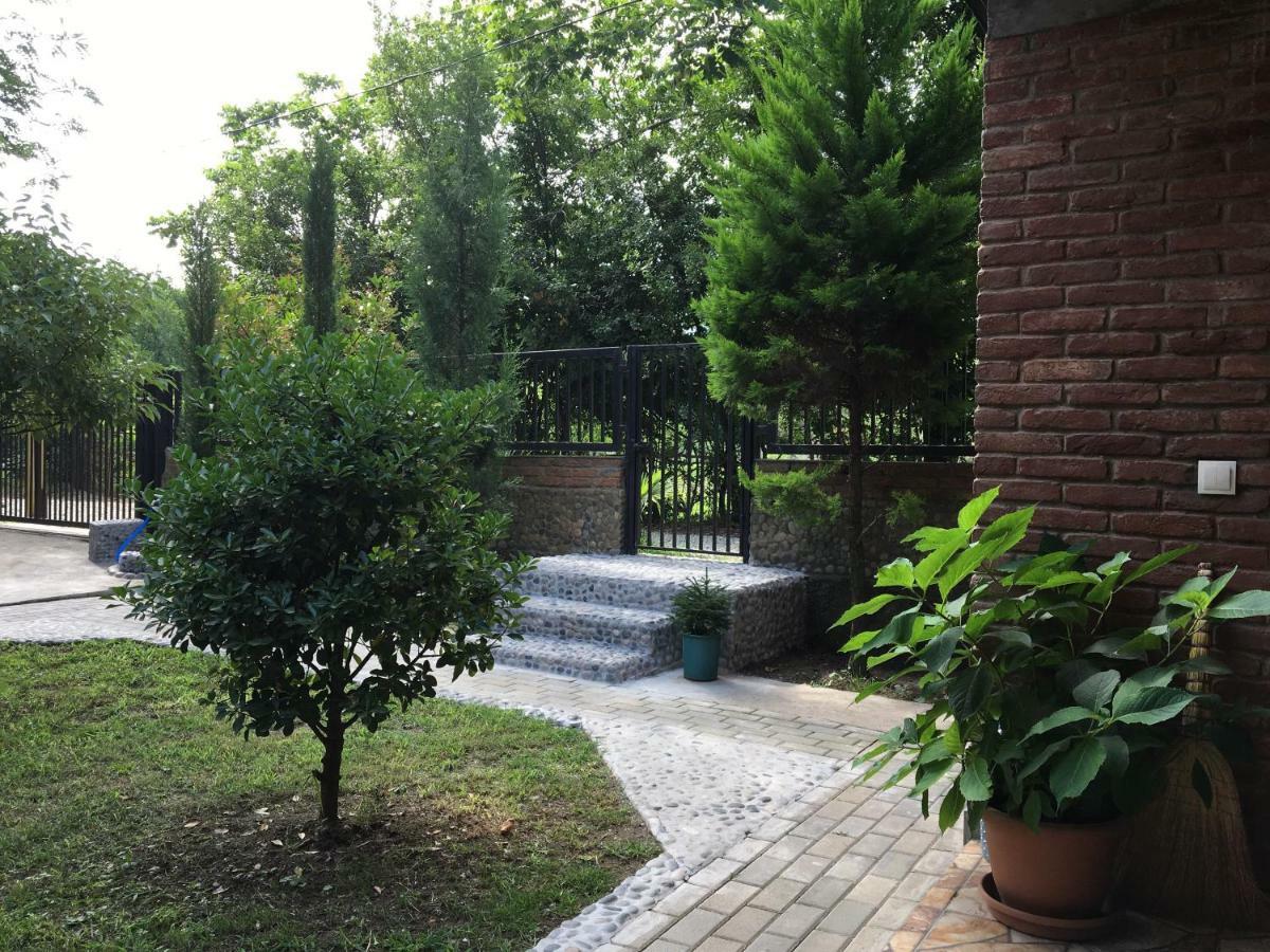 Guest House Shekvetili Esterno foto